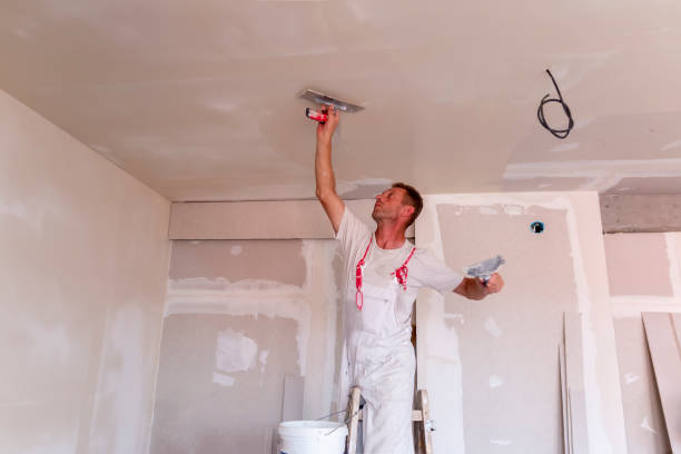 Best Water-Damaged Drywall Repair  in Biloxi, MS